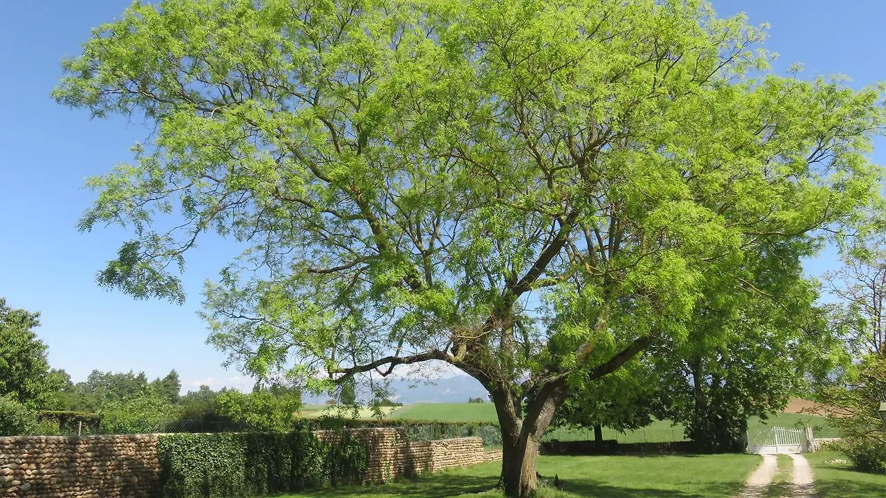 A La Belle Histoire Bed & Breakfast Chateauneuf-sur-Isere France
